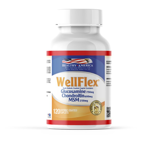 GLUCOSAMINA 750 MG + COND 600MG(WELLFLEX) X 120 CAPSULAS